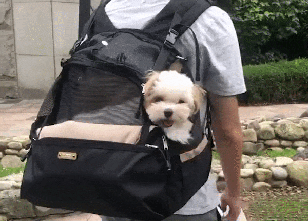 [뽀뇨]PPONYO MECARbag (소형 반려동물 전용 멜카백 카시트)