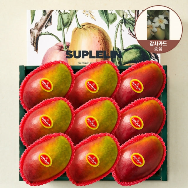 [OnKorea Gifts 한국 배송_과일선물세트]프리미엄 애플망고 선물세트(로얄과/9입)_총 3.6kg 이상