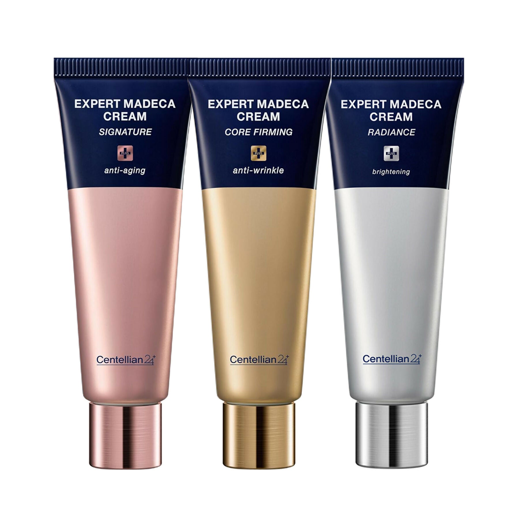 ODK_C24_Set13_Expert