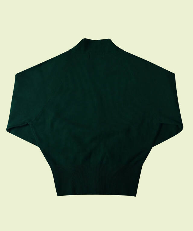 BENECIA 12 V cardigan - Green