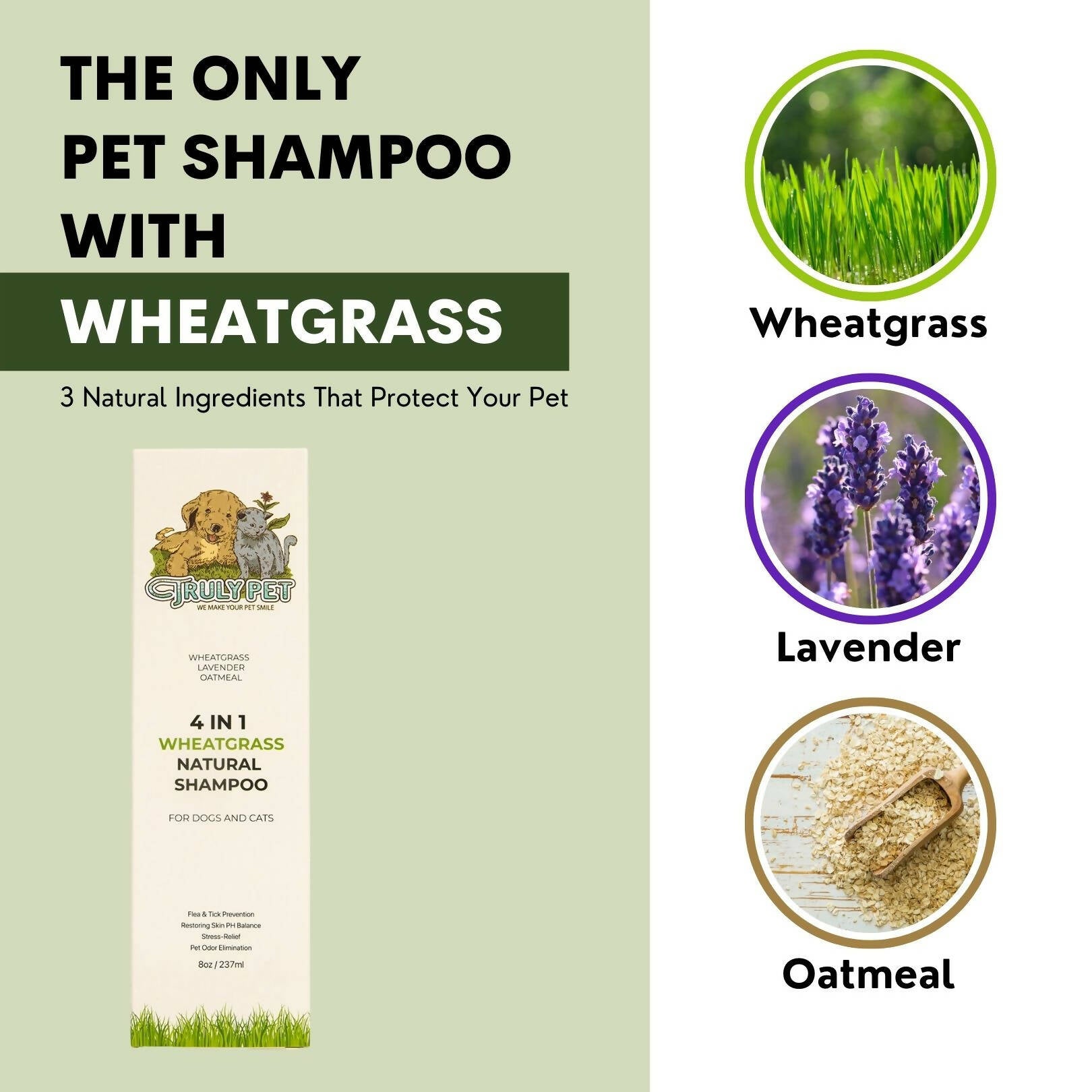 [TRULYPET] Wheatgrass Natural Oils Shampoo for Dogs & Cats - Wheatgrass Lavender Oatmeal[ 프리미엄 네쥬널 애견 샴푸]