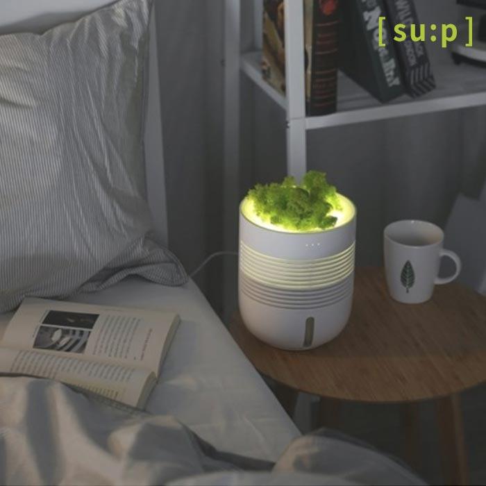 Máy tạo độ ẩm Healing Pot + Máy lọc không khí 