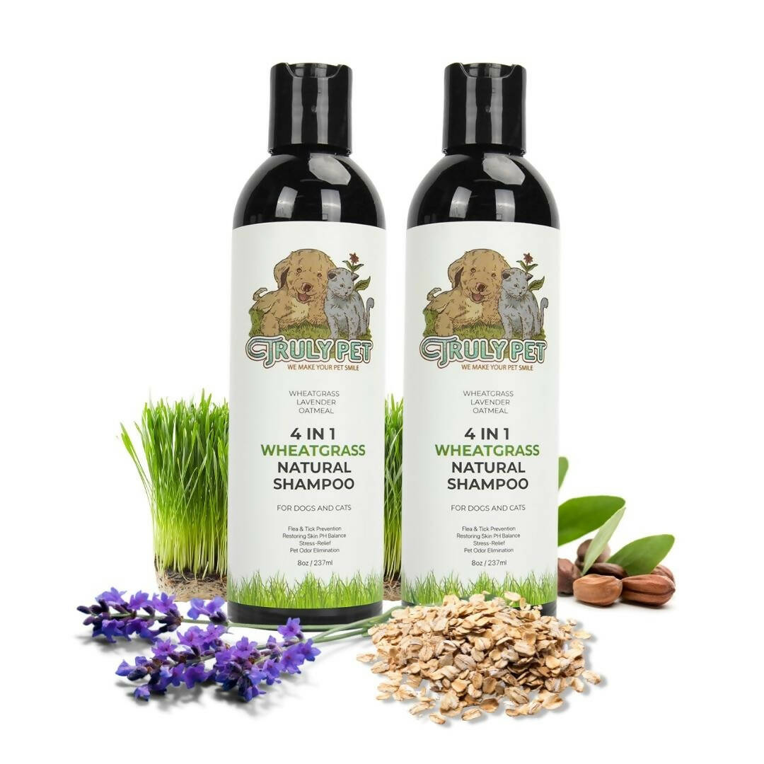 [TRULYPET] [1+1] 프리미엄 내츄럴 애견 샴푸(유통기한 2024년 5월20일) Wheatgrass Natural Oils Shampoo for Dogs & Cats